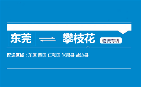 東莞到攀枝花物流專線